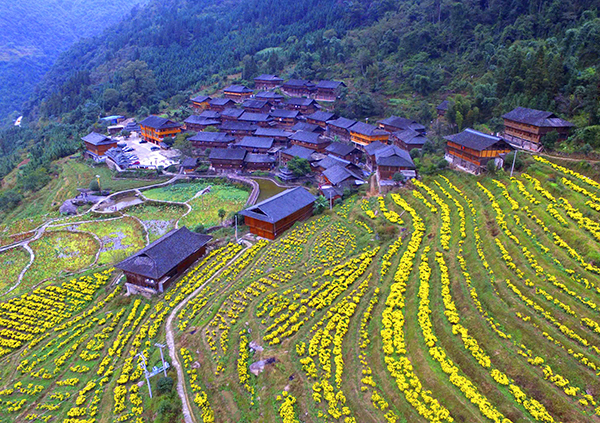 **股份第5类鹰图形商标当选为“2010年度北京市**商标”