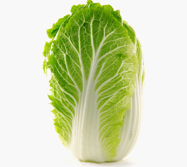 大白菜